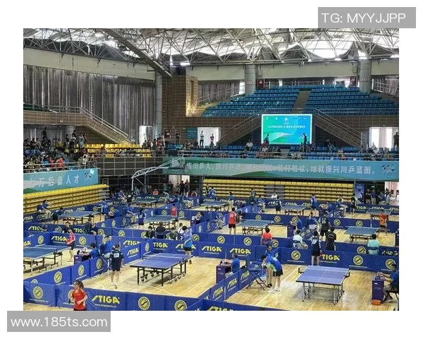 成都乒乓球队最新比赛经验分享TOP10助力乒乓球爱好者提升技巧